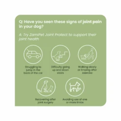 ZamiPet Joint Protect Dog -Cat And Dog Supplies 29