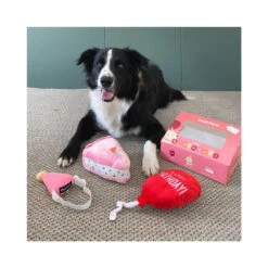 Prestige ZippyPaws Birthday Gift Box Pink Dog Toy -Cat And Dog Supplies 40