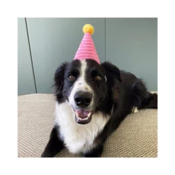 Prestige ZippyPaws Birthday Gift Box Pink Dog Toy -Cat And Dog Supplies 41