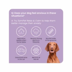 ZamiPet Relax & Calm Dog -Cat And Dog Supplies 51