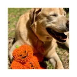 Prestige Tuffy Mighty Microfiber Pumpkin Man Medium Dog Toy 12 Prestige Tuffy Mighty Microfiber Pumpkin Man Medium Dog Toy -Cat And Dog Supplies 8 1