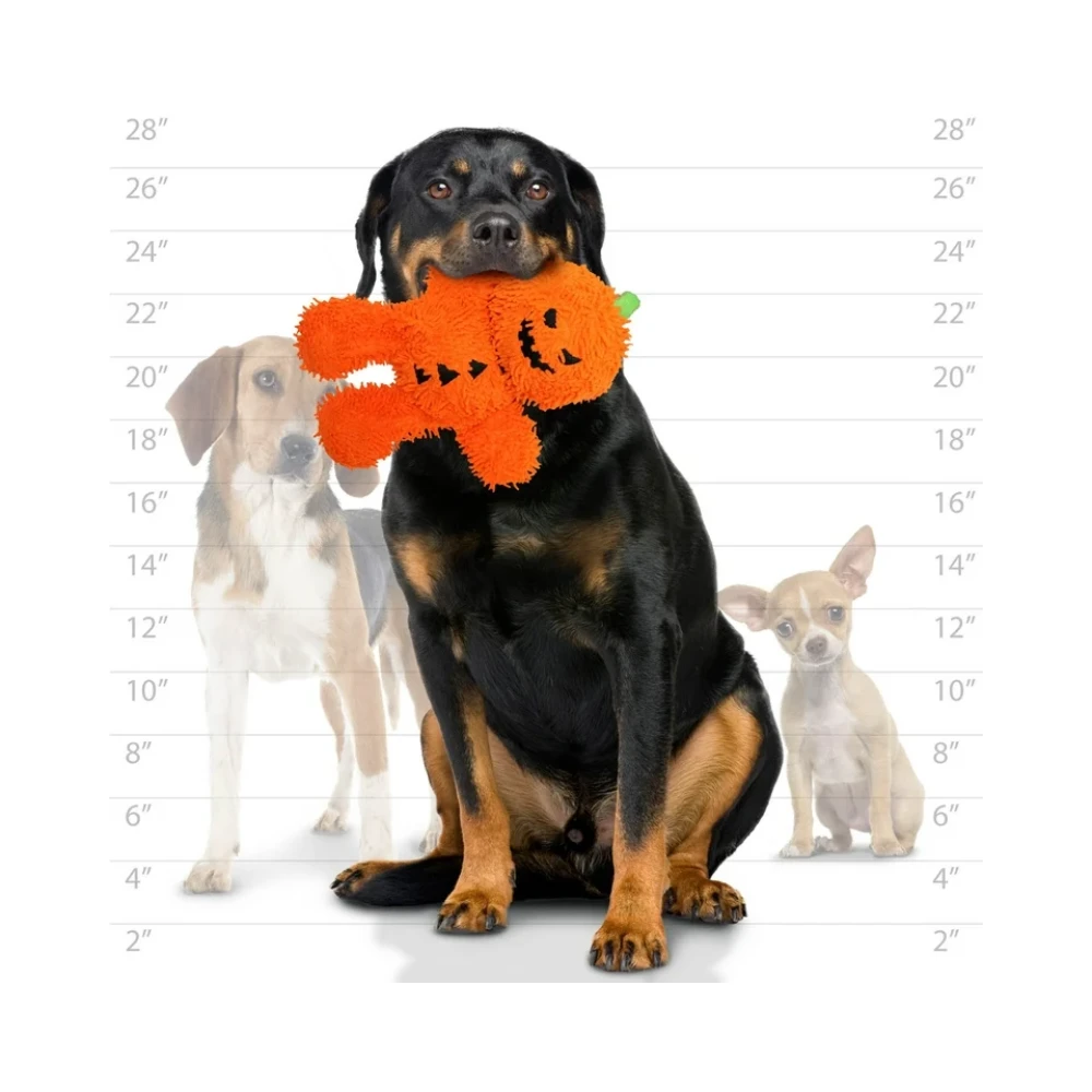 Prestige Tuffy Mighty Microfiber Pumpkin Man Medium Dog Toy 6 Prestige Tuffy Mighty Microfiber Pumpkin Man Medium Dog Toy - Image 4