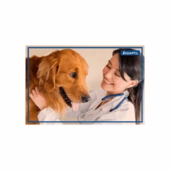 Adaptil Transport Spray 60ml -Cat And Dog Supplies adaptil transport spray 60ml image 1