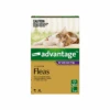 Advantage Cat Large Over 9lbs Purple -Cat And Dog Supplies advantage cat large 4kg purple