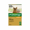 Advantage Kitten & Cat Small Up To 9lbs Orange -Cat And Dog Supplies advantage kitten and small cats up to 4kg orange