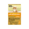 Advocate Kitten & Cat Small Up To 9lbs Orange -Cat And Dog Supplies advocate kitten and small cat up to 4kg orange 1