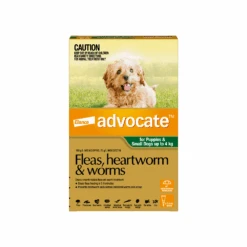 Advocate Puppy & Dog Small Up To 9lbs Green