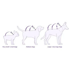 Bravecto Spot On Dog Small 9.9 - 22lbs Orange 1 Pack -Cat And Dog Supplies bravecto spot on dog very small 2 4.5kg yellow 1 pack application 2