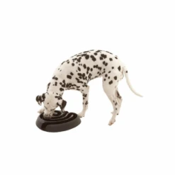 Buster Dogmaze Bowl -Cat And Dog Supplies buster dogmaze bowl image