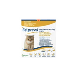 Felpreva Spot On Cat Medium 5.5-11lbs Yellow