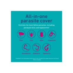 Felpreva Spot On Cat Medium 5.5-11lbs Yellow -Cat And Dog Supplies felpreva spot on cat medium 5.5 11lbs yellow all in one