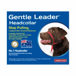 Gentle Leader Head Collar Purple -Cat And Dog Supplies gentle leader head collar purple guidelines