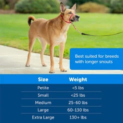 Gentle Leader Head Collar Purple -Cat And Dog Supplies gentle leader head collar purple sizes