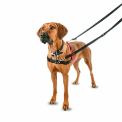 Halti Front Control Harness Black/Red Medium -Cat And Dog Supplies halti front control harness black red visual look 1
