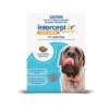Interceptor Spectrum Dog Large 44 - 99lbs Blue -Cat And Dog Supplies interceptor large dog 1000px 1
