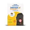Interceptor Spectrum Dog Medium 22 - 44lbs Yellow -Cat And Dog Supplies interceptor medium dog 1000px