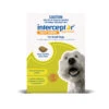 Interceptor Spectrum Dog Small 8.8 - 22lbs Green -Cat And Dog Supplies interceptor small dog 1000px