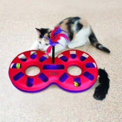 KONG Active Eight Track Cat Toy -Cat And Dog Supplies kongactive8tracklifestyle