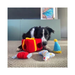 Prestige ZippyPaws Zippy Burrow Present Box Dog Toy -Cat And Dog Supplies lifestyle product template 1