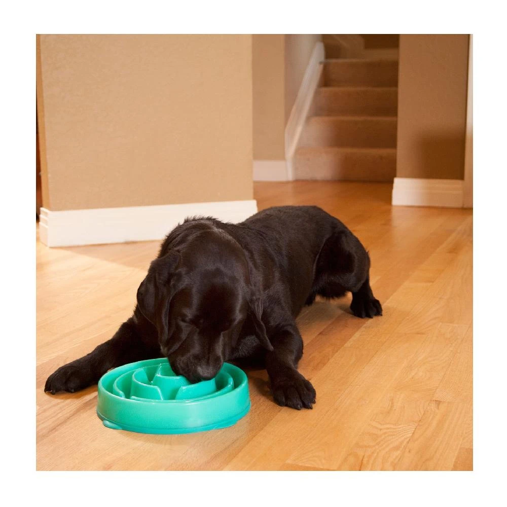 Outward Hound Fun Feeder Slo-Bowl Drop Dog Bowl Teal 5 Outward Hound Fun Feeder Slo-Bowl Drop Dog Bowl Teal - Image 3