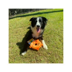 Prestige ZippyPaws Halloween Donutz Buddies Pumpkin Dog Toy -Cat And Dog Supplies new project 85