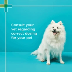 PAW Fish Oil 500 Veterinary Strength 200mL -Cat And Dog Supplies paw blackmores fish oil 500 veterinary strength 4 1