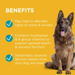 PAW Complete Calm Dog Chews 300g -Cat And Dog Supplies paw complete calm multivitamin 300g key benefits