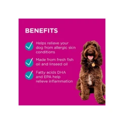 PAW Dermega Skin Support 200ml 8 PAW Dermega Skin Support 200ml -Cat And Dog Supplies paw dermega skin support 200ml benefits