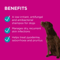 PAW Mediderm Gentle Medicated Shampoo -Cat And Dog Supplies paw mediderm gentle medicated shampoo 500ml benefits 1