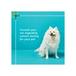 Paw OsteoAdvanced Dog 300g 60 Pack -Cat And Dog Supplies paw osteoadvanced dog 300g 60 pack consult