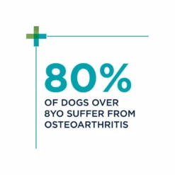 Paw OsteoAdvanced Dog 300g 60 Pack -Cat And Dog Supplies paw osteoadvanced dog 300g 60 pack facts