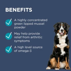 Paw Osteosupport Joint Care Powder -Cat And Dog Supplies paw osteosupport joint care powder benefits