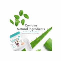 Petkin Fingertip Tooth Wipes 50 Pack -Cat And Dog Supplies petkin fingertip tooth wipes 50 pack ingredients