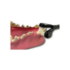 Petosan Dental Care Kit Dog -Cat And Dog Supplies petosan dental care kit dog brush