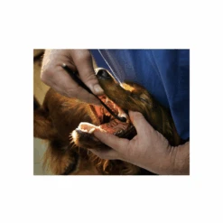 Petosan Dental Care Kit Dog -Cat And Dog Supplies petosan dental care kit dog image