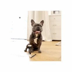 Petosan Dental Care Kit Dog -Cat And Dog Supplies petosan dental care kit dog image2