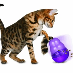 KONG Wobbler Cat Toy -Cat And Dog Supplies pw4 2