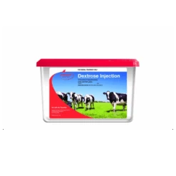 Rudduck Dextrose Injection 500mL