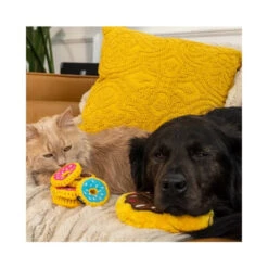 Prestige ZippyClaws Mini Donutz Cat Toy 3 Pack -Cat And Dog Supplies screenshot 2023 10 03 113534