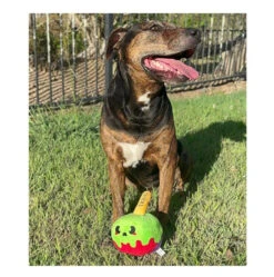 Prestige HugSmart Fuzzy Friendz Howloween Night Candy Apple Dog Toy -Cat And Dog Supplies screenshot 2023 10 19 113204