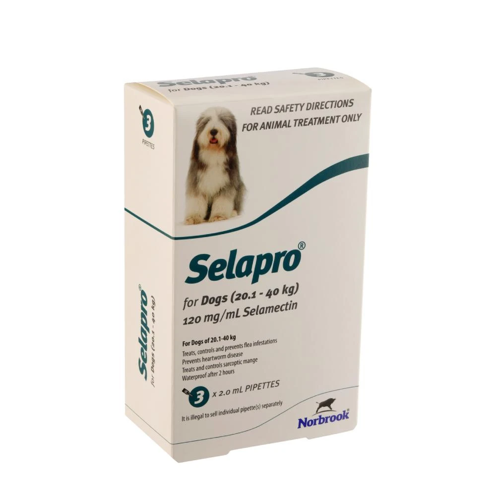 Selapro Dog Large 20-40kg Teal 3 Selapro Dog Large 20-40kg Teal