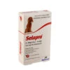 Selapro Dog Medium 10-20kg Red -Cat And Dog Supplies selapro dog medium 10 20kg red 3 pack 2