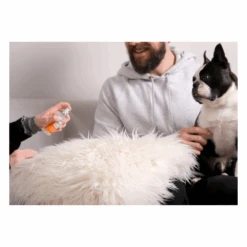 ThunderEssence Calming Spray For Dogs 118ml -Cat And Dog Supplies thunderessence calming essential oil spray for dogs 118ml 3