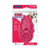 KONG ZoomGroom Raspberry Dog Brush -Cat And Dog Supplies zg1 3