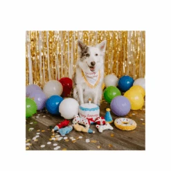 ZippyPaws Birthday Bandana & Bone Dog Toy -Cat And Dog Supplies zippypaws birthday bandana bone dog toy image 3