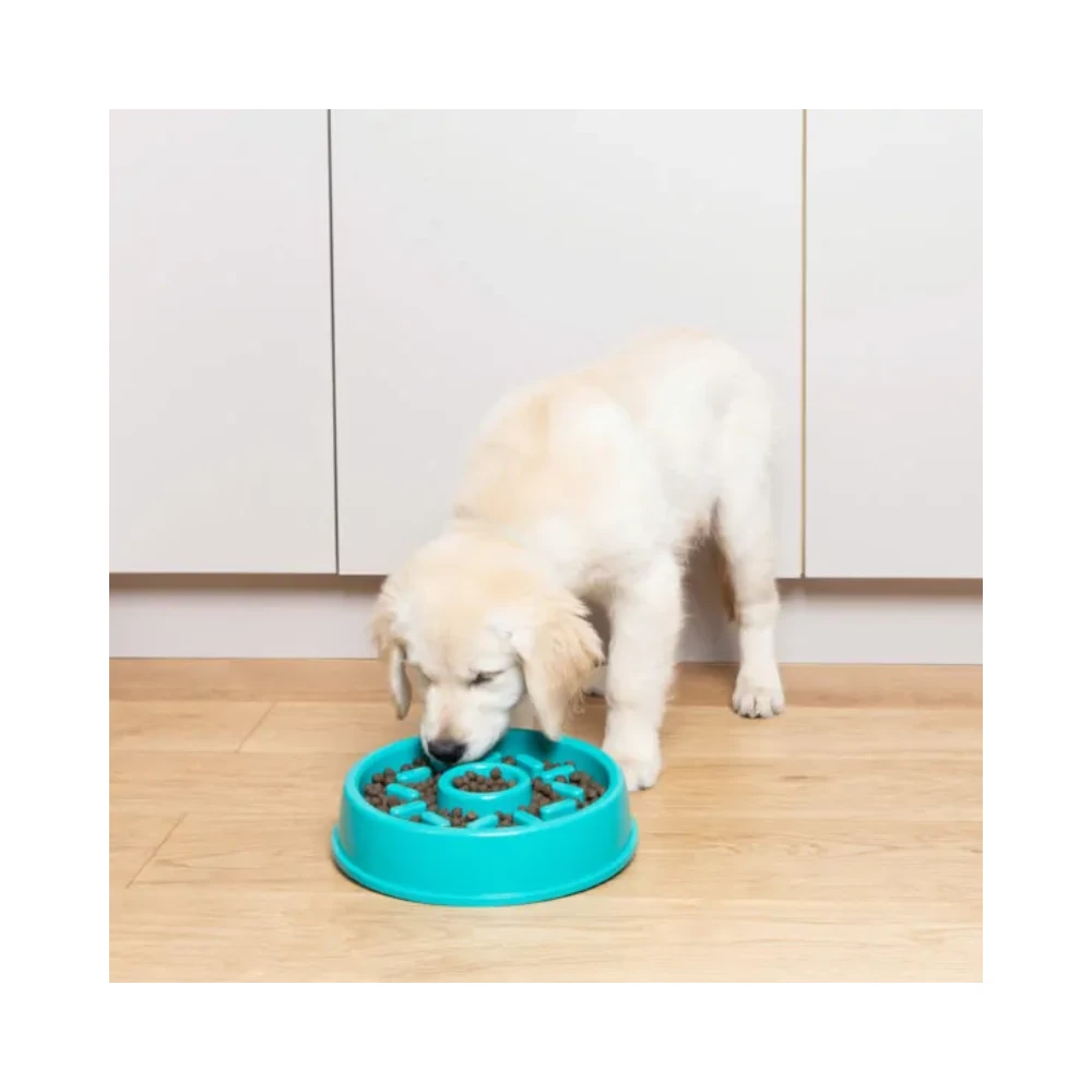 ZippyPaws Happy Bowl Dog Slow Feeder Donut 6 ZippyPaws Happy Bowl Dog Slow Feeder Donut - Image 4