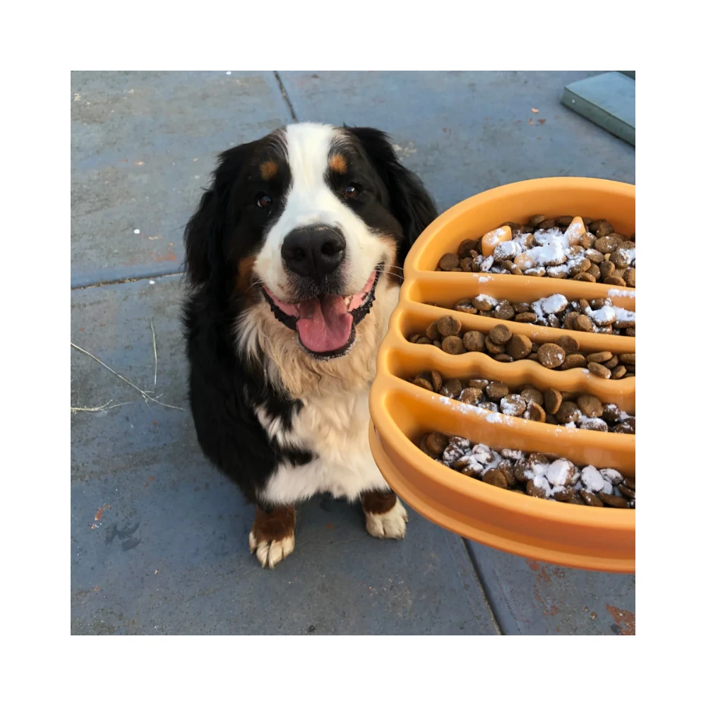 ZippyPaws Happy Bowl Dog Slow Feeder Burger 6 ZippyPaws Happy Bowl Dog Slow Feeder Burger - Image 4