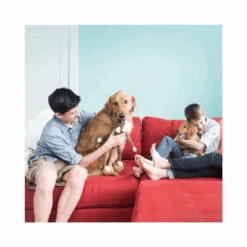 Prestige ZippyPaws Spencer The Crinkle Monkey Dog Toy -Cat And Dog Supplies zippypaws spencer crinkle monkey brown large 42x17cm 3